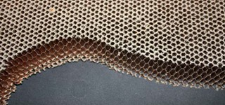 Honeycomb result